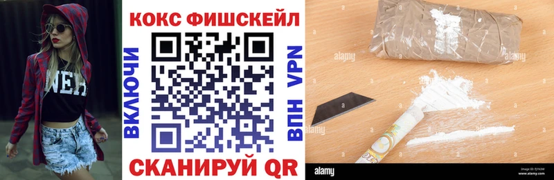 где продают   Новая Ладога  COCAIN VHQ 