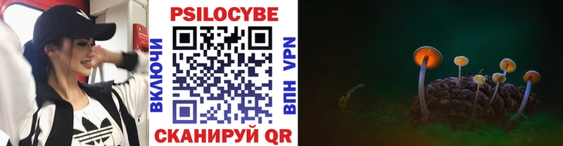 Псилоцибиновые грибы мицелий  Новая Ладога 